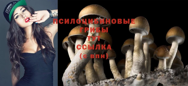 mix Бородино