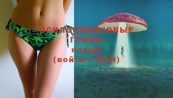 ECSTASY Бронницы
