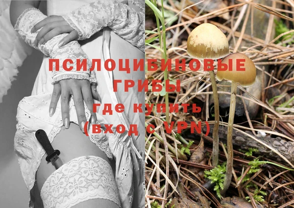 марки lsd Бугульма