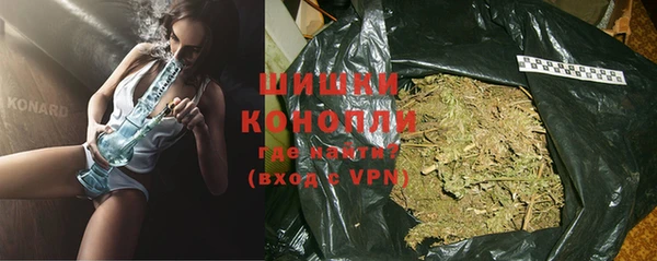 стаф Богородицк