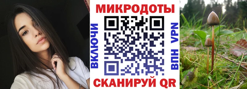 Псилоцибиновые грибы MAGIC MUSHROOMS  Верхний Тагил 